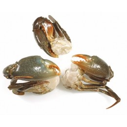 LARGE Cut Grand mangrove Crab (4-8 pc/kg) 12 x 1 kilo-MG LARGE Cut Grand mangrove Crab (4-8 pc/kg) 12 x 1 kilo-MG