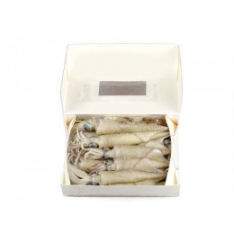 Loligo WR 9-11 cm 12 x 1 Kg block-US Loligo WR 9-11 cm 12 x 1 Kg block-US