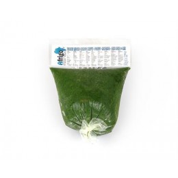 AFRIGO Pondu / Saka Saka Congolese 20x500gr-VN AFRIGO Pondu / Saka Saka Congolese 20x500gr-VN