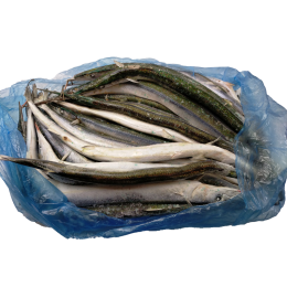 Garfish / Belone Belone WR 2-4 pcs / kg 20 kg block NW-PL Garfish / Belone Belone WR 2-4 pcs / kg 20 kg block NW-PL