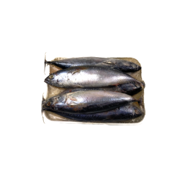 Bullet Tuna / Baby Bonito / Tulingan 6-8p VAC 10 x 1 kg-VN Bullet Tuna / Baby Bonito / Tulingan 6-8p VAC 10 x 1 kg-VN