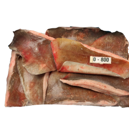 BBD 03-23 Rayfish/Trukkai/Skatewing Skin On 200-900g 10Kg-SR BBD 03-23 Rayfish/Trukkai/Skatewing Skin On 200-900g 10Kg-SR
