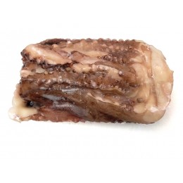 JONA Giant Squid Tentacles Tray 15 x 800 grs 100% NW-PT JONA Giant Squid Tentacles Tray 15 x 800 grs 100% NW-PT
