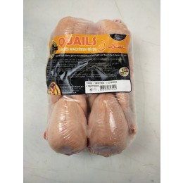 Cleaned Quails "Quaility" Halal M 6 x (4x150-170 gr) tray-ES Cleaned Quails "Quaility" Halal M 6 x (4x150-170 gr) tray-ES