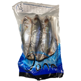 BBD 04-23 Big Eye Scad / Matangbaka WR 4-6p 10 x 1 kg-VN BBD 04-23 Big Eye Scad / Matangbaka WR 4-6p 10 x 1 kg-VN