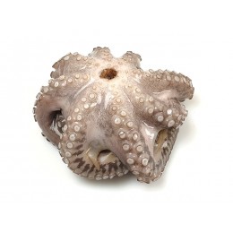 JONA Octopus Whole Clean Flower IWP 1-2 kg 10 Kg 10% -ID JONA Octopus Whole Clean Flower IWP 1-2 kg 10 Kg 10% -ID