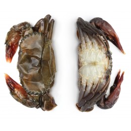 Softshell Crabs Cleaned Prime 14 pcs 10 x 1000 Gr- BD Softshell Crabs Cleaned Prime 14 pcs 10 x 1000 Gr- BD